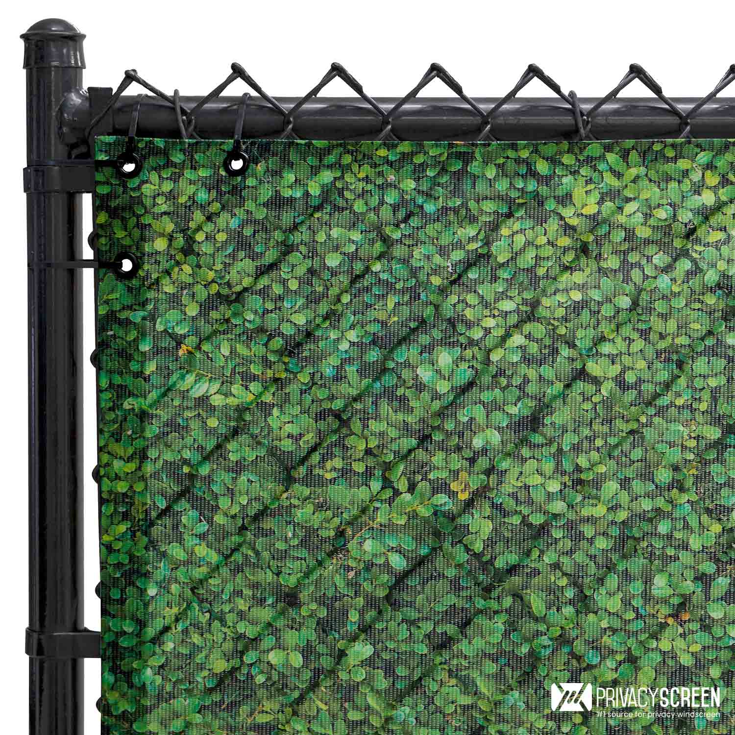 Boxwood Hedge Outdoor Screen | 211 Series